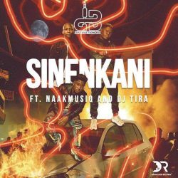 Distruction Boyz – Sinenkani (feat. DJ Tira & NaakMusiQ)