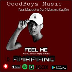 GoodBoyz Music – Feel Me (feat. Macache Djz & Malume KayEm X DJ Kapito X Dj Dip Bo-El Soul)
