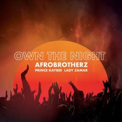 Afro Brotherz – Own The Night (feat. Prince Kaybee & Lady Zamar)