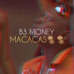 B3 Money – Macacas