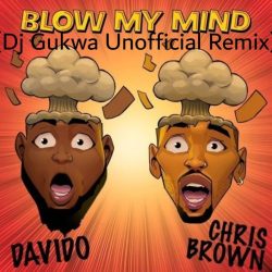 Davido Ft. Chris Brown – Blow My Mind (Dj Gukwa Unofficial Remix)