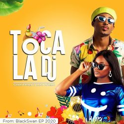 DJ Cisne Preta – Toca-lá DJ (feat. Dom Wilson)