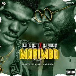 Teo No Beatz X Dj Znobia – Marimba (feat. D.Brothers & Shane Maquemba)