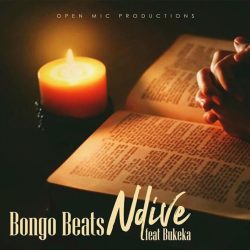 Bongo Beats – Ndive (feat. Bukeka)