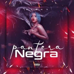 Bibas – Pantera Negra