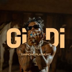 Diamond Platnumz – Gidi