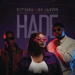 Djy Biza & Mr JazziQ – Hade (feat. Dinky Kunene, Djy Ma’Ten, Mellow & Sleazy)