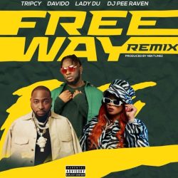 Tripsy, Lady Du, Davido & Nektunez – Freeway (Remix) [feat. DJ Pee Raven]