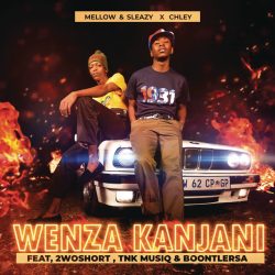 Mellow & Sleazy – Wenza Kanjani (feat. Chley, 2woshort, TNK MusiQ & BoontleRSA)