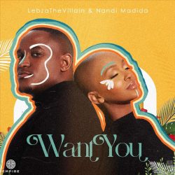 Lebza TheVillain & Nandi Madida – Want You