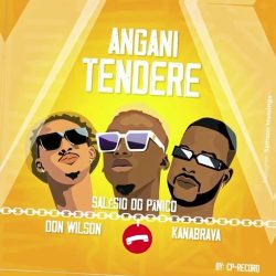 Salésio Do Pânico – Angani Tendere (feat. Dom Wilson & Kanabrava)