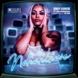 Dinky Kunene – Ndidikiwe (feat. Sol Phenduka & LeSax)