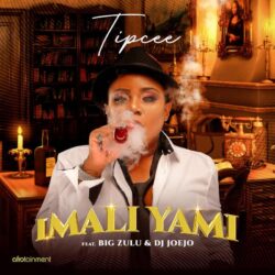 Tipcee – iMali Yami (feat. Big Zulu & DJ Joejo)