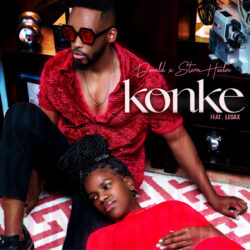 Donald & Starr Healer – Konke (feat. Le Sax)