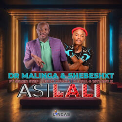 Dr Malinga & Shebeshxt – Asilali (feat. Seven Step, Lebza Mfana, NaQua & 1st Lady K)