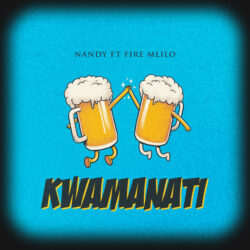 Nandy – Kwamanati (feat. Fire Mlilo)